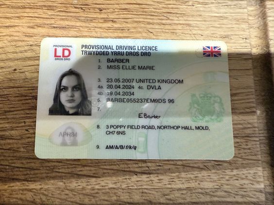 UK Professional Driving License Requirements